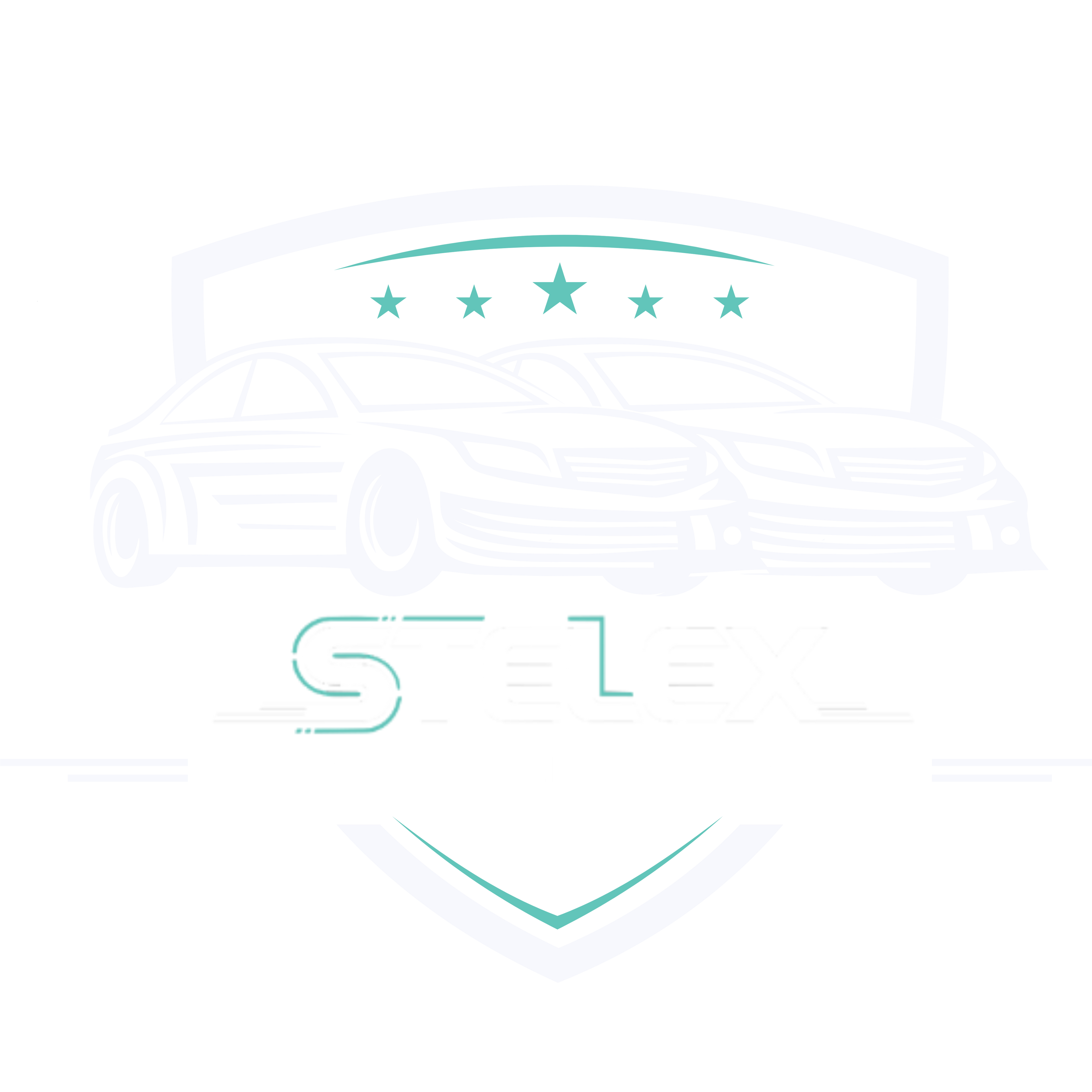 Stelex Detailing & Performance 