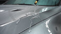 detail - https://stelexdp.com/ - Level 1 Ceramic Coating - Stelex Detailing & Performance - SERVICES