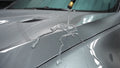 Level 1 Ceramic Coating